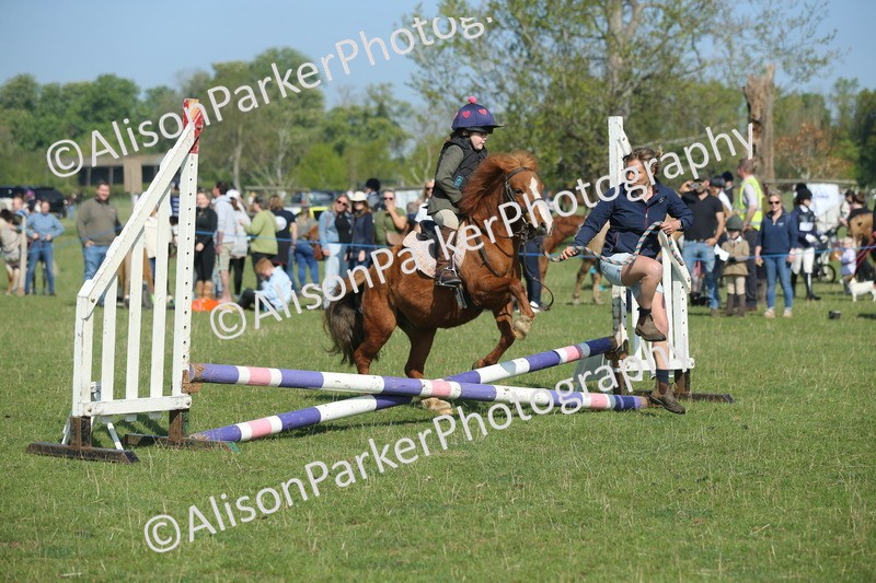 20250427-0970 - Class 1 - Mini Jumping Lead Rein or Assisted