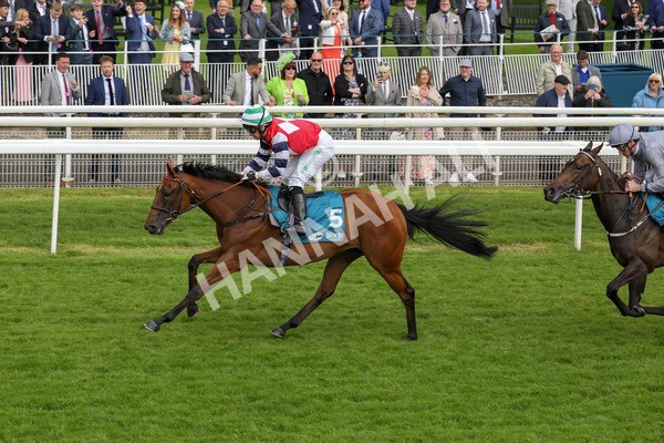 140624-Race 4-Havana Gila-5643 - Race 4 3.35pm Seat Unique Ganton Stakes