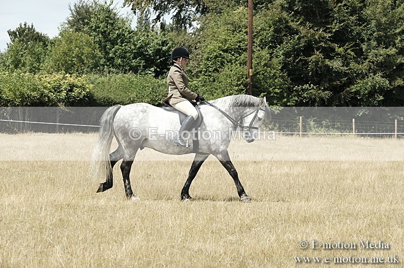 _PJP5965 - BVRC Show 2018 Ring 1