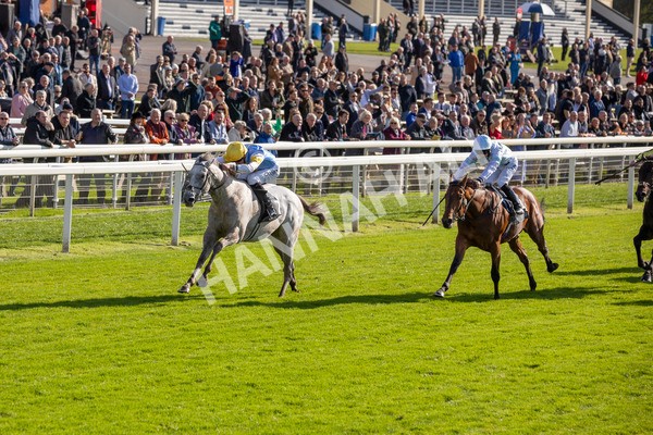 111024-Race 2-Mirabeau-6861 - Race 2 2.05pm British EBF £100,000 Final