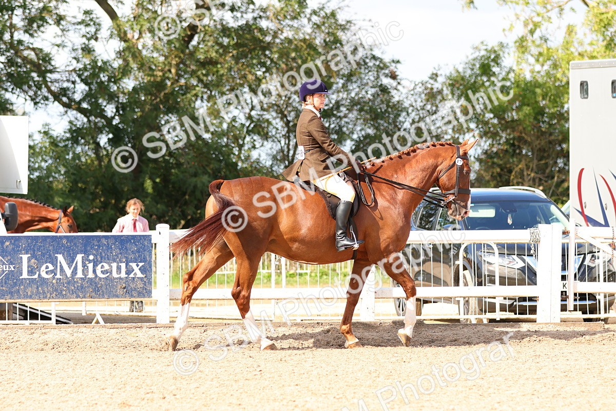 SBM_13445 - Class 212 - Ridden Hunter  - Large