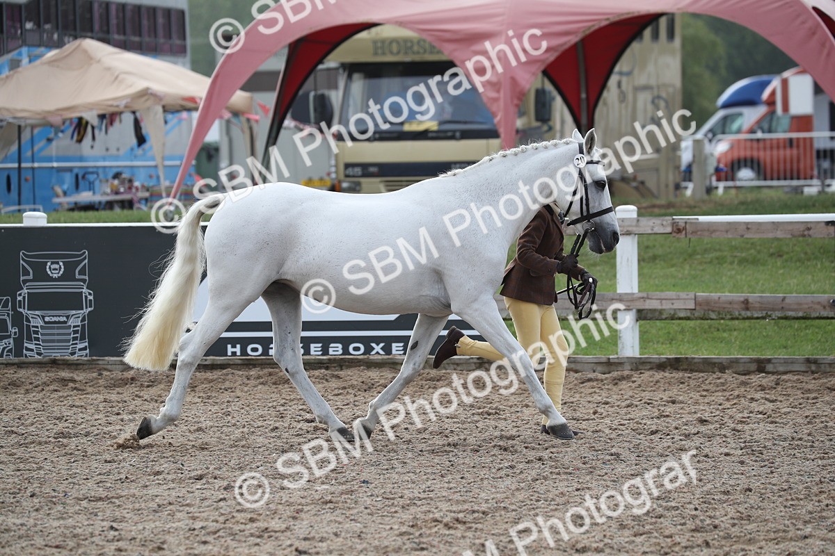 SBM_23086 - Class 605 - 2025 Area - IH Veteran