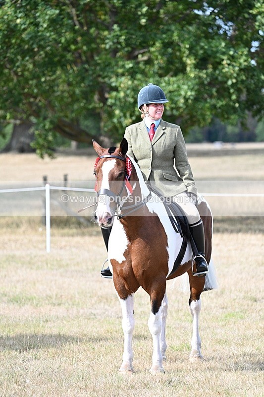 WJ7_7819 - Ridden Championship