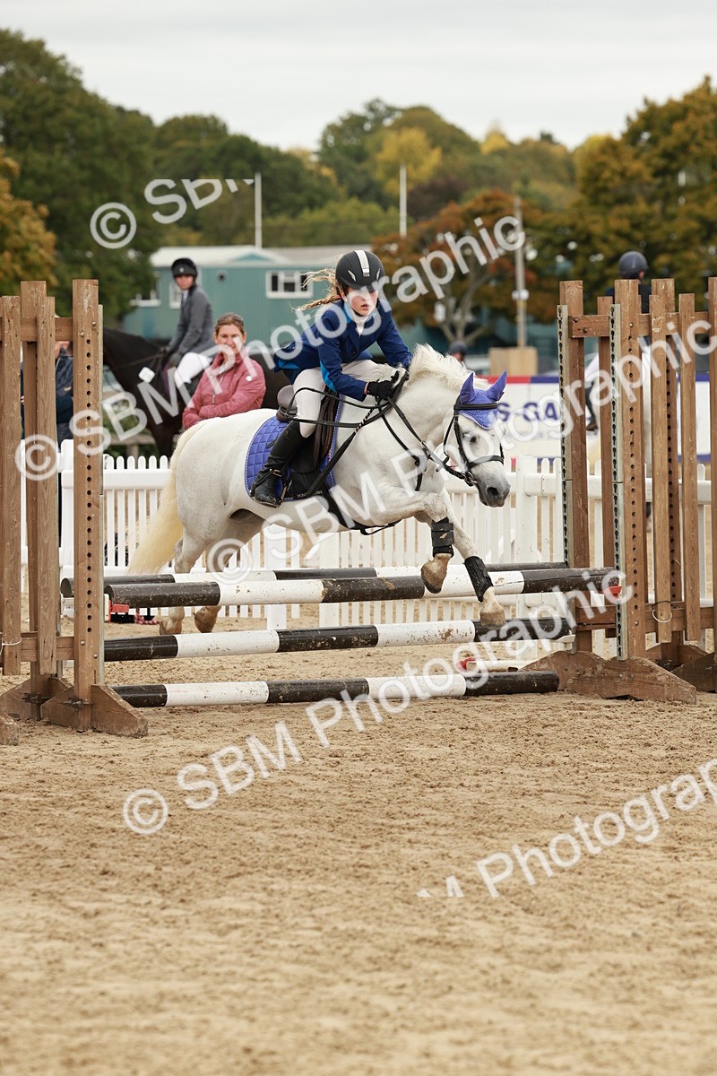 SBM_66946 - J13 - Junior Pony 60cm Championship