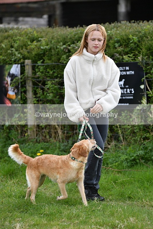 WJ5_9086 - Class 1 Best Cross Breed / Heniz 57