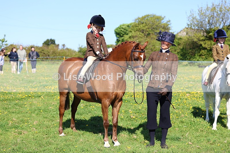 3E7A8931 - Class 2: Lead rein