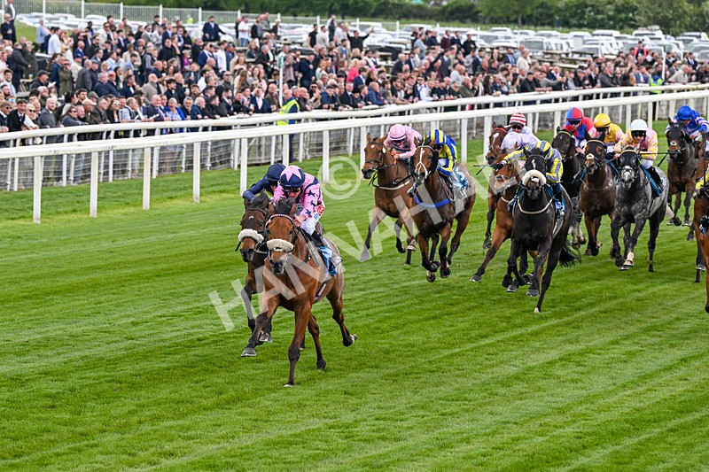 150526-Race 1-Zarathos-0042 - Race 1 1.45pm Yorkshire Equine Practice Handicap