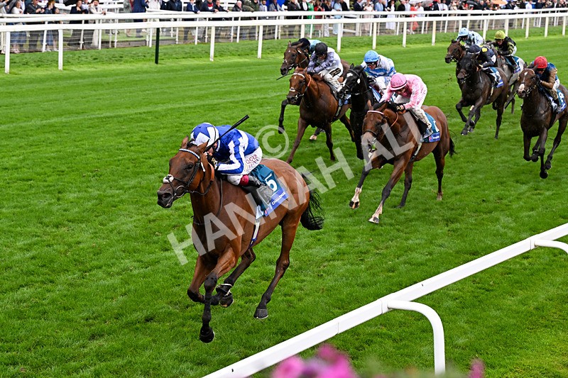 200826-Race 3-The Lost King-0446 - Race 3 15.00pm Sir Kevin Sinfield 7 In 7 Grand Finale Handicap