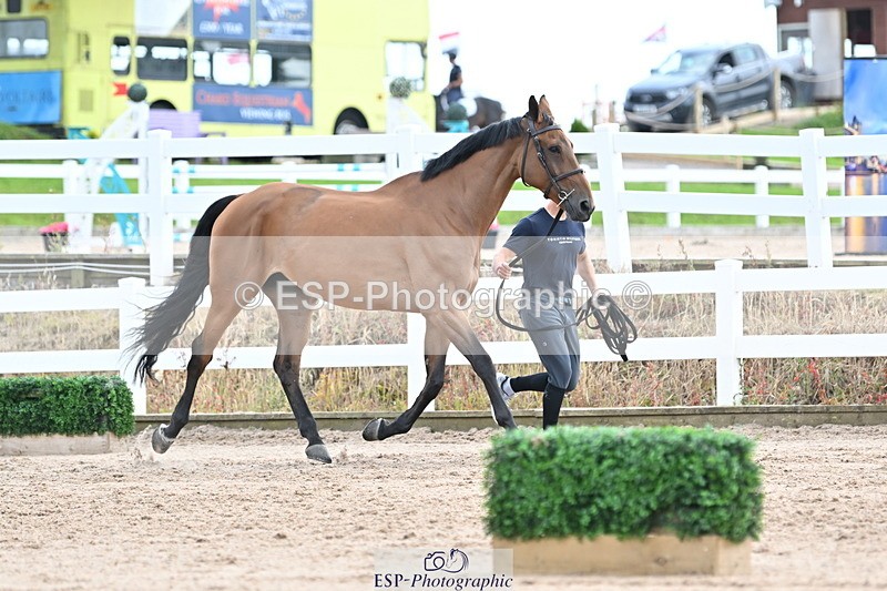240717A-143622-02143 - Trot Up 2pm to 3pm - This folder is not in time order