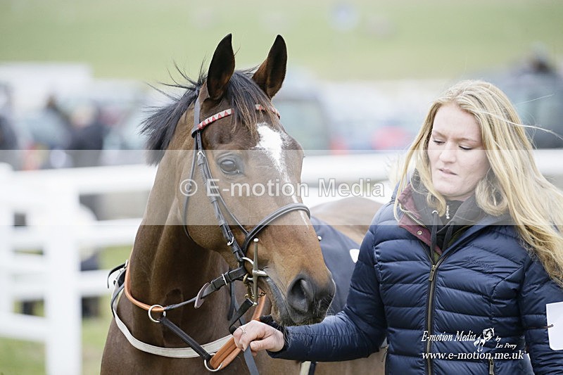 PtP 220122 155 - Royal Artillery Hunt Point-to-Point  - Larkhill Racecourse 22/01/22