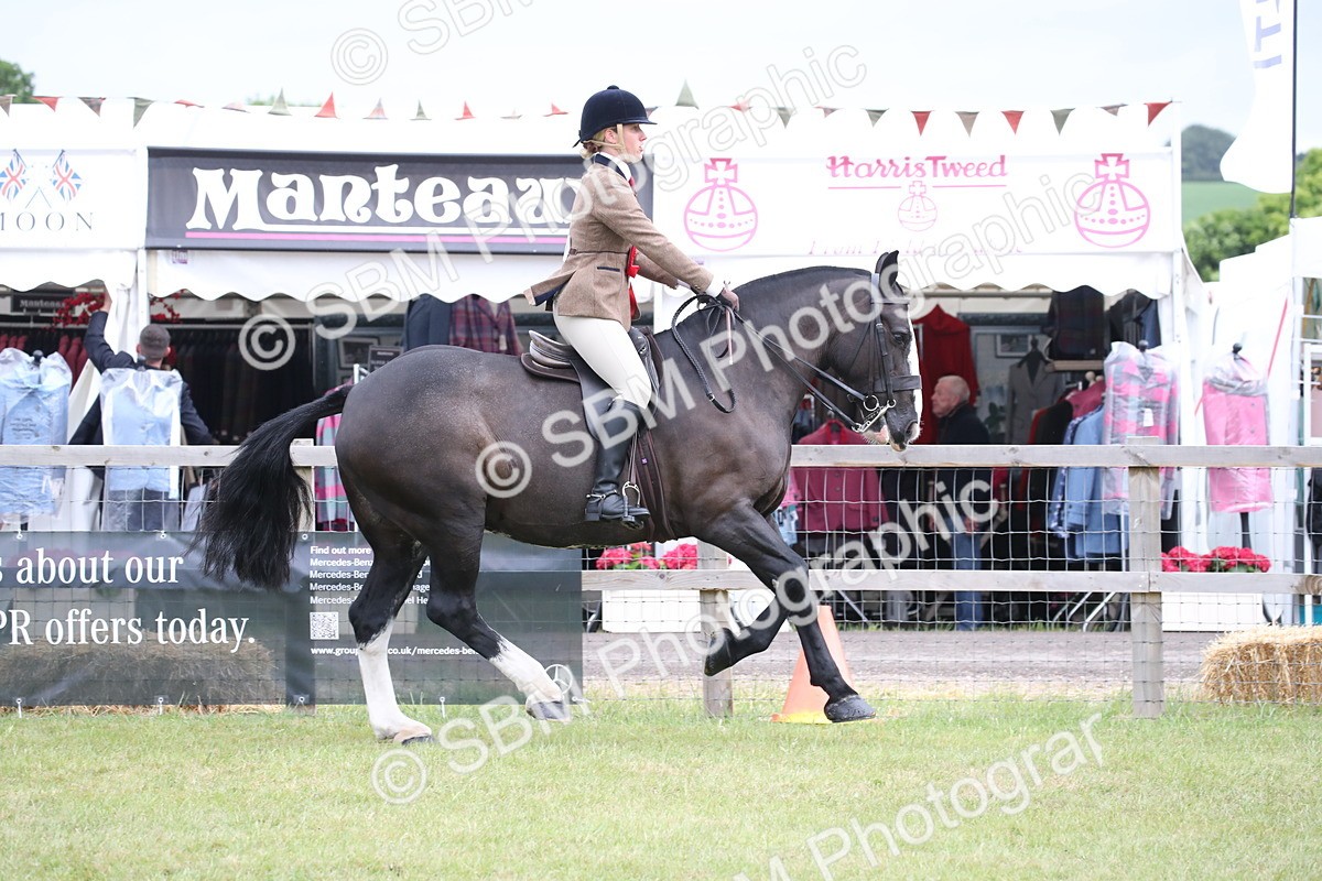 SBM_11333 - Class 92-93 - LIHS BSHA Rising Star Cobs