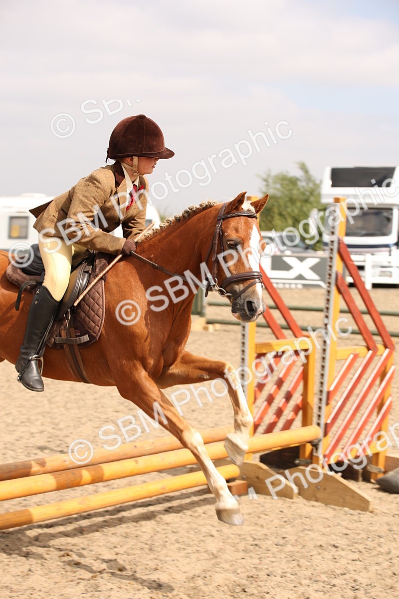 SBM_12620 - Class 405b - M&M Working Veteran 50cm 20+