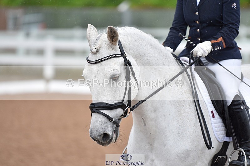 230511A-122346-00538 - BD Cls 8 Elementary 59