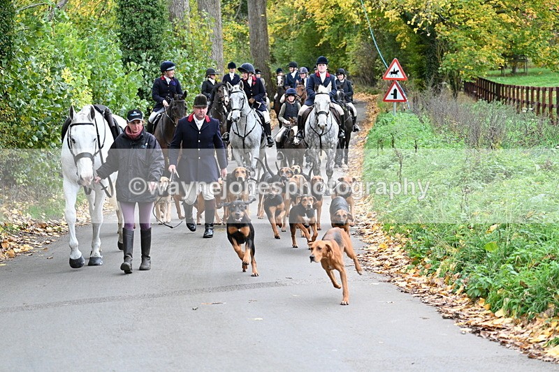 WJ7_7187 - Walk Home..