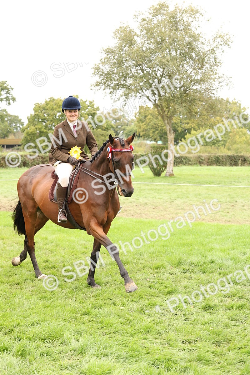 SBM_64356 - S65 - Riding Horse & Hack & Thoroughbred Ridden