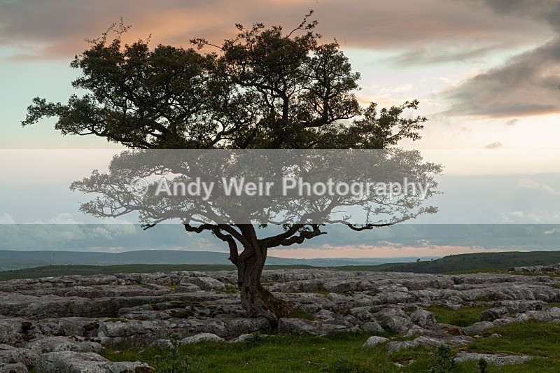 20120630-_MG_9128 - England