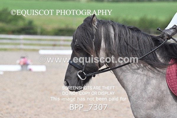 BPP_7307 - PRELIM 3