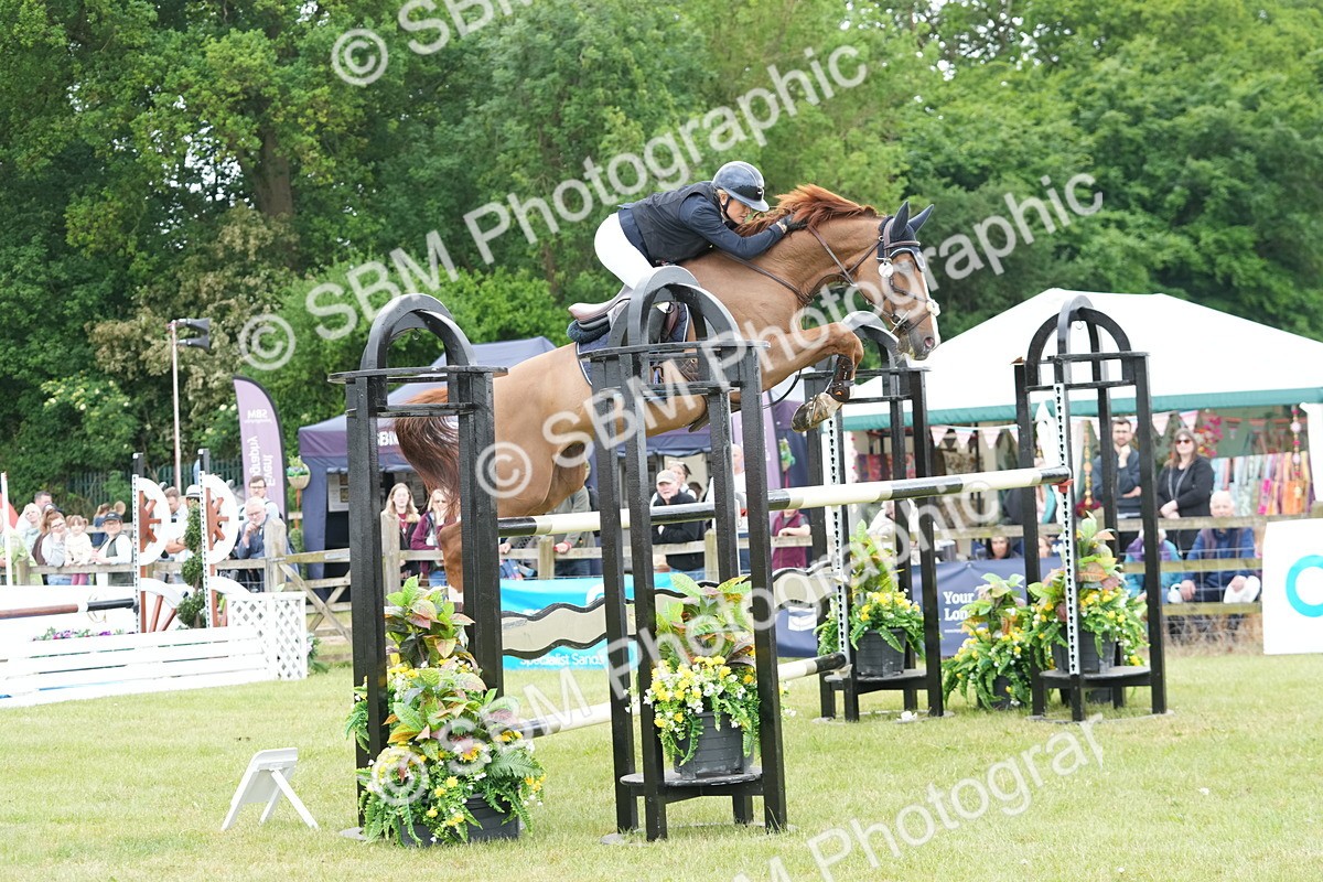 SBM_05294 - Class 201 - British Horse Feeds Speedi Beet Horse of the Year Show Grade  C