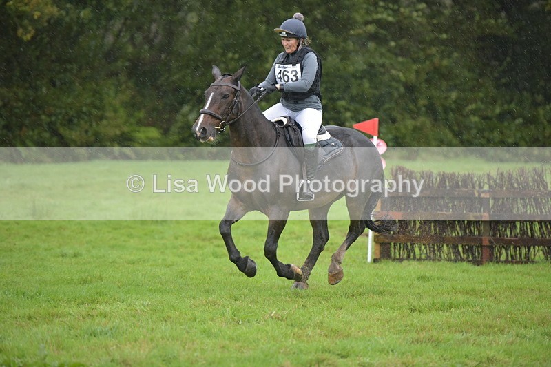 RAY_0448 - Class 4: 80cm: Double of Brushes