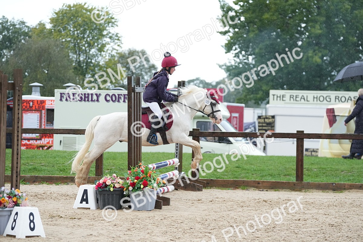 SBM_36329 - J5 - Junior Pony 50cm Championship