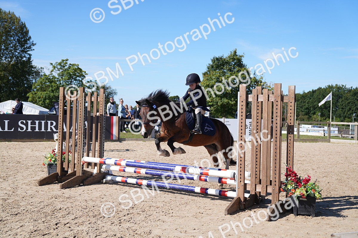 SBM_19567 - J57 - Clear Round 50cm