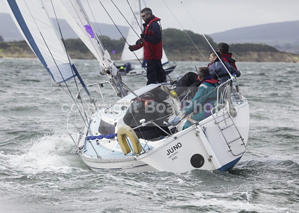 120630 Juno K9  _MG_3164 - ROUND THE ISLAND RACE - 30th June 2012
