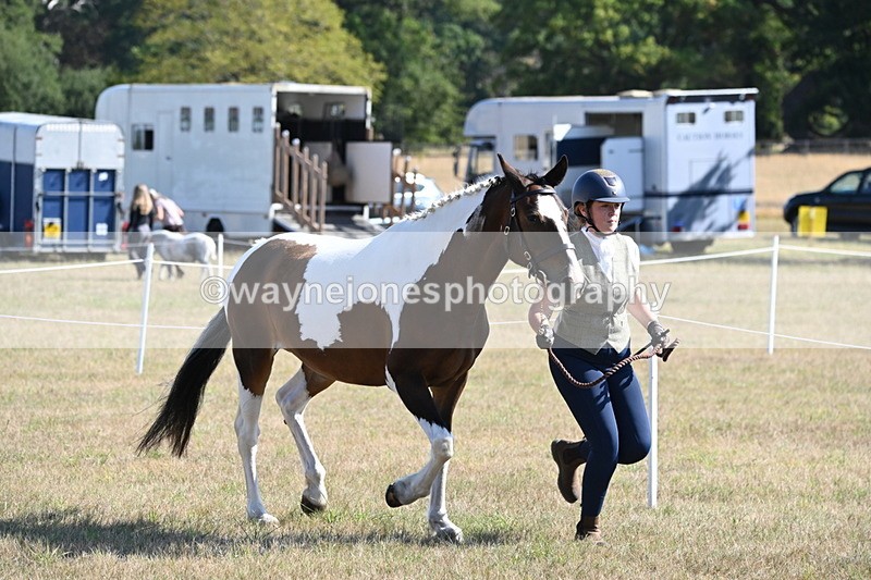 WJ6_4203 - Class 16 Condition & Turn Out