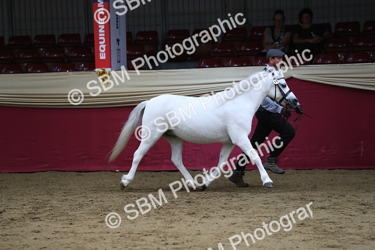 SBM_06341 - Class 9R Regional- IH Pre Vet