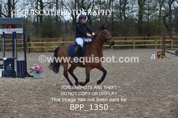 BPP_1350 - CLASS 5 Pony BritiNovice / 0.80m Open