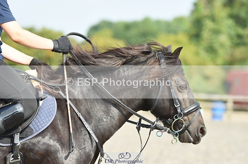 230817-101516-01700 - Kay's 2nd Group - Arena