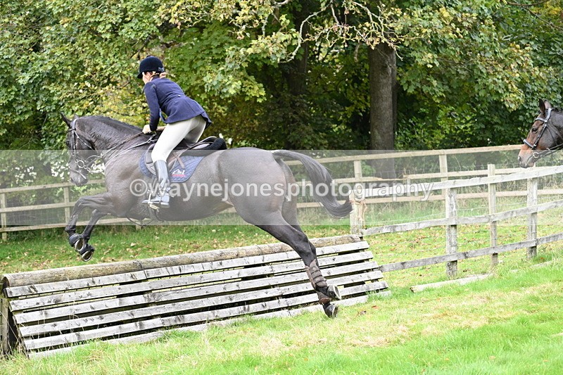 WJ7_4750 - Camera 1 Line 3