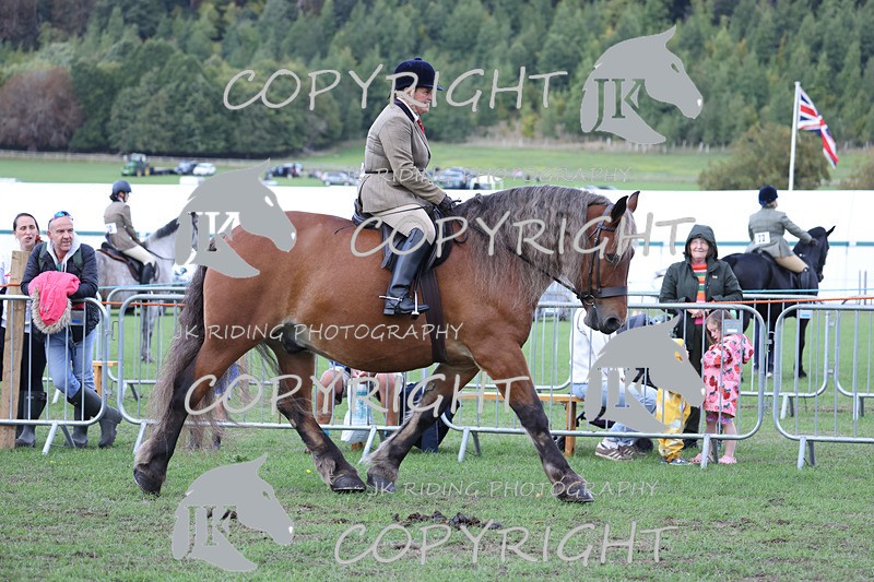 APP_3632 - Class 8 Ridden Class