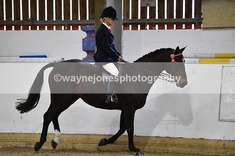 WJ5_7862 - Class 13 Ridden Part Breed