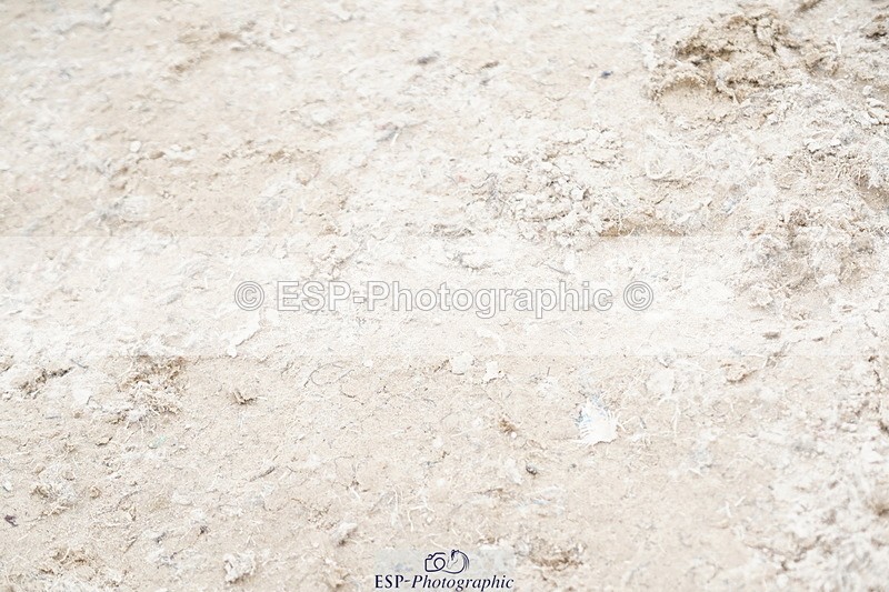 250613A-124052-01551 - Cls 11 4 Year Olds