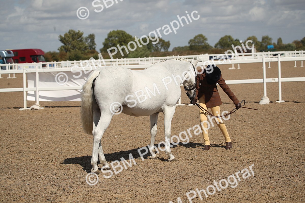 SBM_23528 - Class 605 - 2026 - Area - IH Veteran