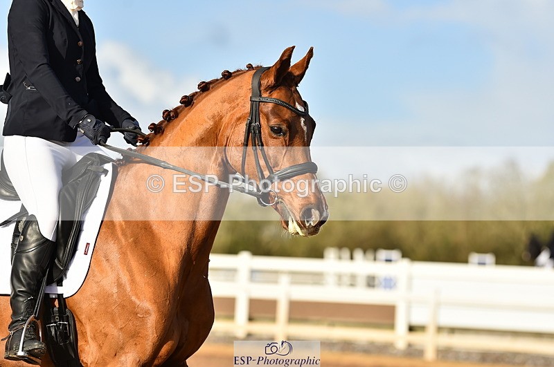 231104A-135000-01932 - Cls 10 Medium 61