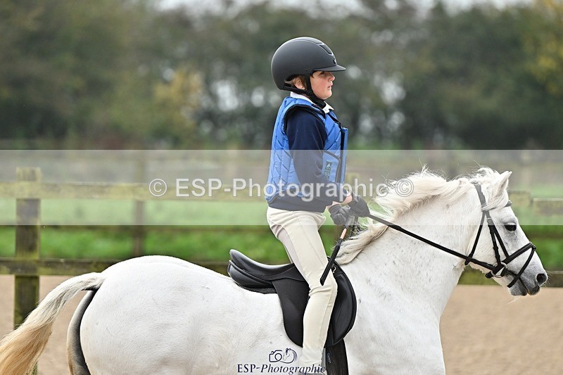 241110-095925-00150 - 40cm Showjumping