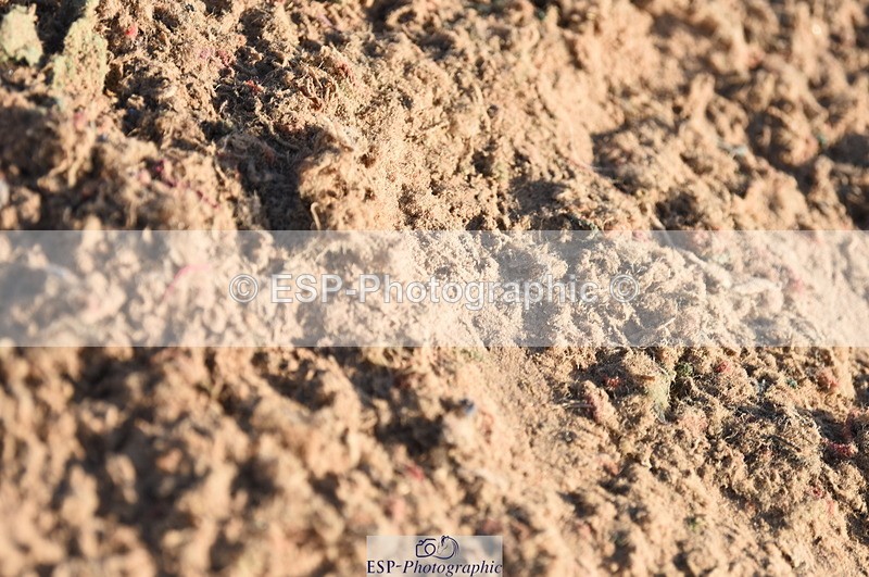 230915A-093022-00010 - Cls 8 85cm Amateur Qualifier