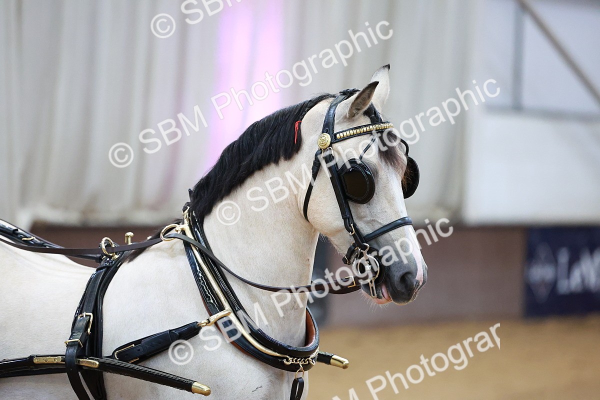 SBM_000046 - Class 1 - Non Hackney Private Drive 13.2hh and Under