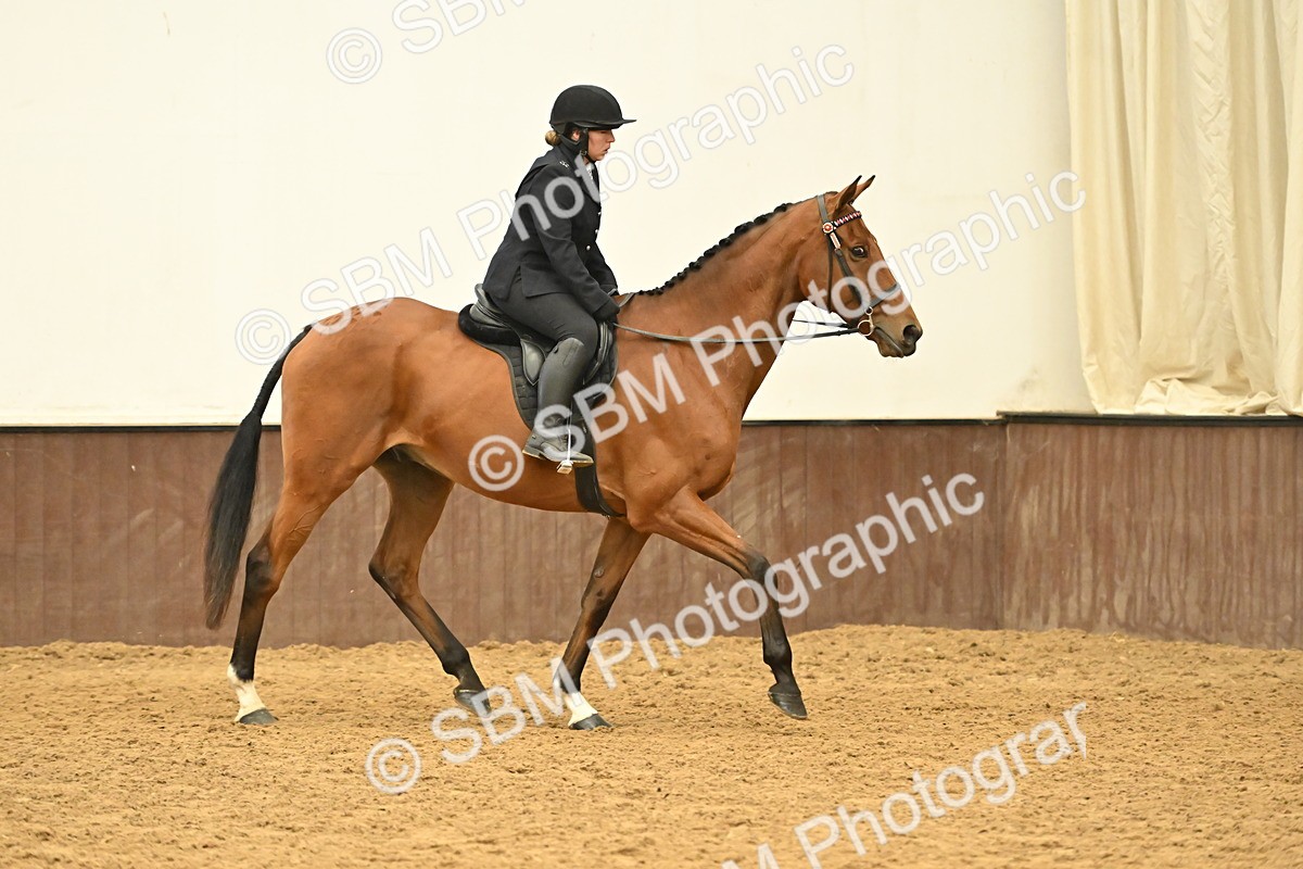 SBM_001982 - Class 24 - BSHA Ridden Racehorse to Show Horse