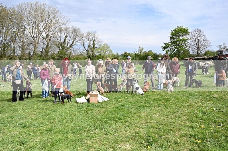 WJ6_8385 - Class 4 Prettiest Bitch