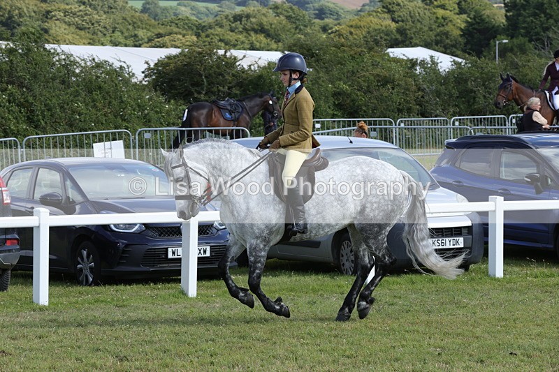 1X9A5878 - Class 41:. NPS New Forest & Connemara