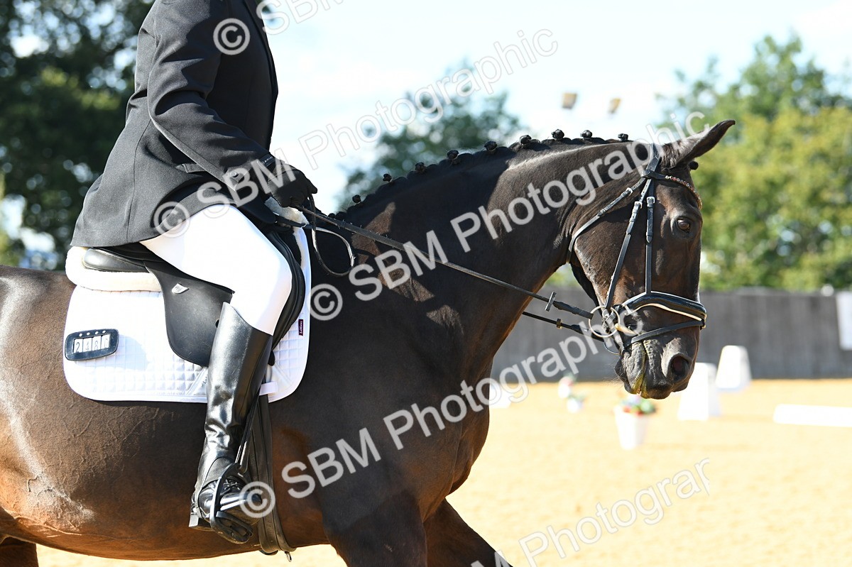 SBM_27205 - D16 - Small Tour Championship - Novice 28
