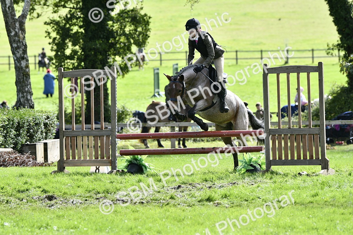 SBM_45671 - S33 - Working Hunter Pony