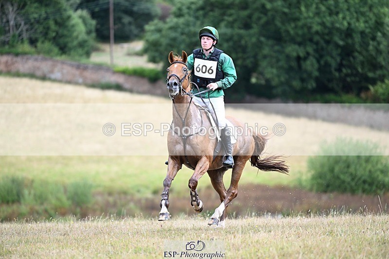 250803A-133353-13695 - N-606-Harry.Rowcliffe-22.CARROT.GOLD
