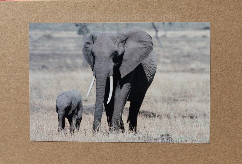 012 Elephant Family - For Sale - Handmade Cards £2.50 each