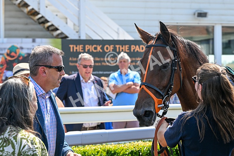 150726-Race 1-Palazzo Persico-2740 - Race 1 14.10pm AJA Novice Flat Amateur Jockeys' Handicap