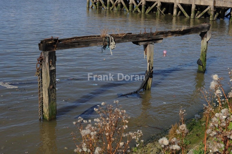 NINETEEN - Frank Doran