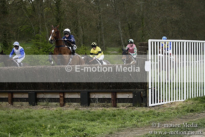 PtP 170417 531 - Old Berks Point-to-Point Lockinge 17/04/17