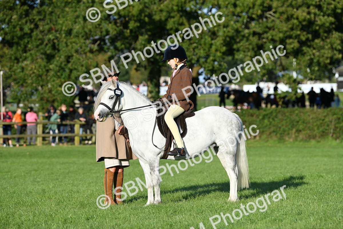 SBM_54108 - S23 - 1st Ridden Mountain & Moorland Pony